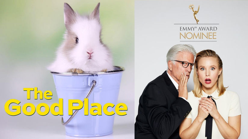The Good Place - Bunny In A Bucket TrueView Campaign